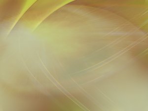 为啥大家都在学方案